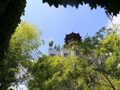 -龙天小镇