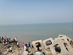 -东疆建设开发纪念公园