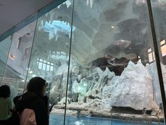 -帝企鹅自助餐厅•儿童岛•真企鹅(长隆企鹅酒店)