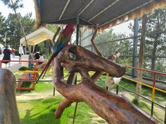 -西霞口神雕山野生动物世界