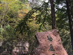 -黎坪国家森林公园