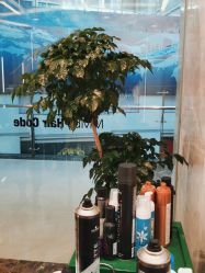 -MMby HairCode 芭曲发型概念店