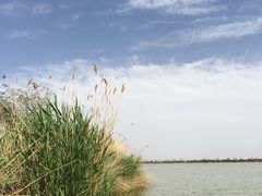 -包头南海湿地景区