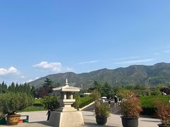 -秦始皇帝陵博物院-丽山园