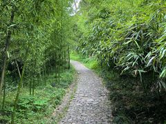 -狼山风景名胜区