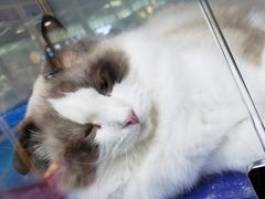 -乐宠宠物店(世纪金源店)