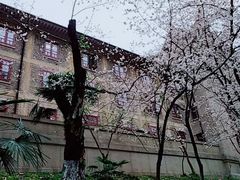 -武汉大学-樱园