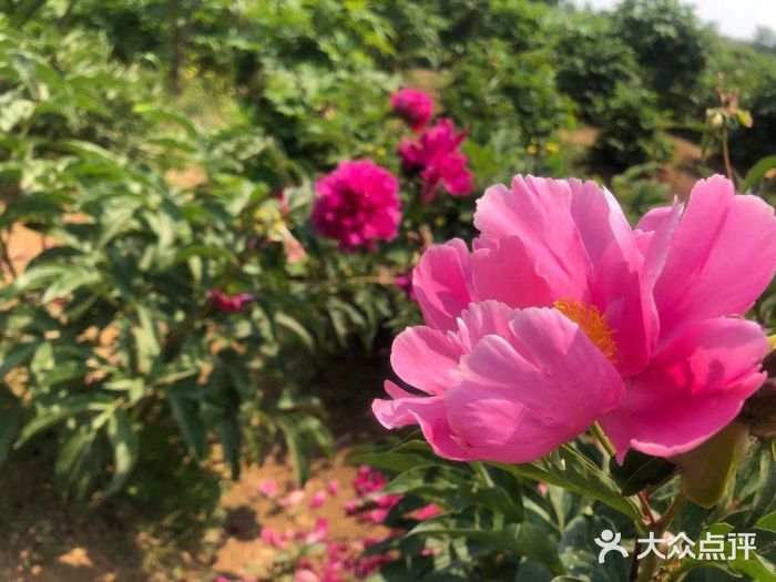 石经山风景区图片