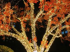 -和美电影艺术中心(万国城店)