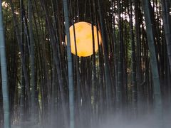 -杭州黄龙洞