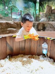 -宝燕乐园(闵行旗舰店)