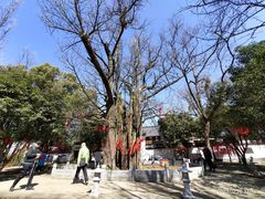 -西湖风景区十里琅珰-五云山