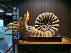 -贝壳王国博物馆