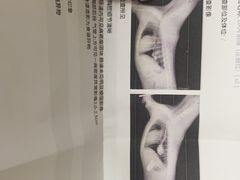-德元·美联众合24小时动物医院(总院)