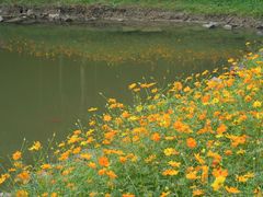 -良渚古城遗址公园
