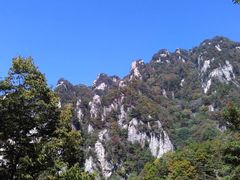 -王顺山国家森林公园