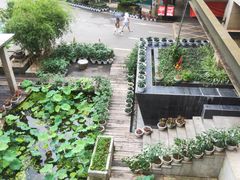 -天怡·鱼工厂(梅溪湖店)