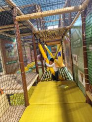 -卡通尼·Safari非洲探索乐园·生日会(金桥国际商业广场店)