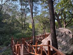 -大岭沟猕猴桃谷风景区