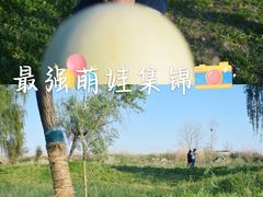 -昆山城市生态森林公园