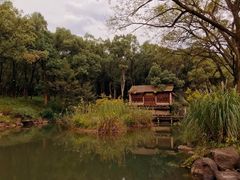 -杭州植物园
