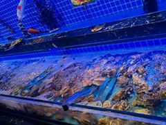 水产区-五月罗马海鲜烤肉自助餐厅(印象城店)