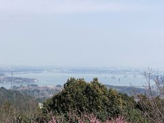 -香雪海