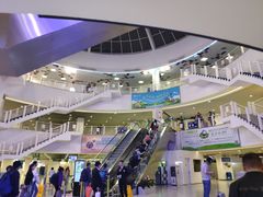 -澳门外港客运码头(轮渡站)