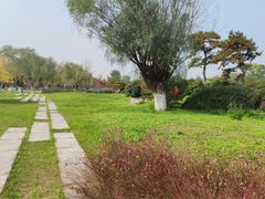 -汉长安城未央宫国家考古遗址公园