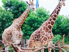 -杭州野生动物世界