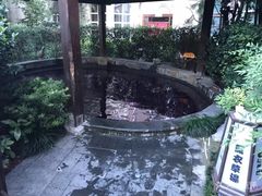 -杭州第一世界大酒店·云曼温泉