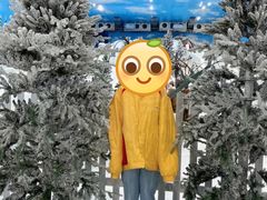 -世界之窗阿尔卑斯冰雪世界