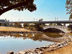 -宝安西湾红树林湿地公园