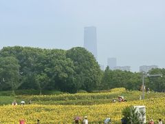 -苏州湾体育公园