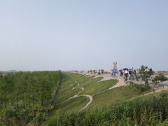 -南汇嘴观海公园