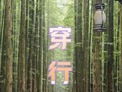 -山王坪喀斯特国家生态公园