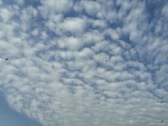 -滆湖低碳生态公园