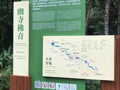 -莫里热带雨林景区
