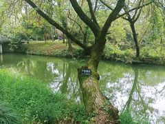 -西溪国家湿地公园