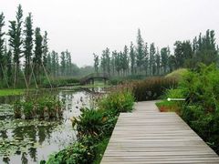 -西溪国家湿地公园