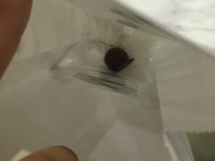 -Awfully Chocolate(来福士广场店)