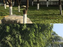 -西安市长乐公园