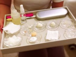 -奥斯芬欧系贵族SPA