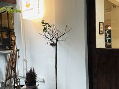 -Kekimatata 生日蛋糕·烘焙教学