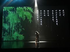 -合肥大剧院