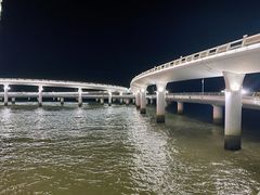 -演武大桥观景平台