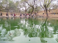 -承德避暑山庄景区