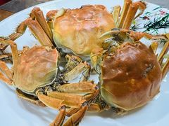 -微山岛春天里酒家