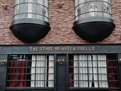 -雪灵魔法世界SHELLY’S TAROT(大良桂畔里店)