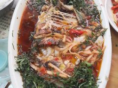 -老字号怡玺·藿香雅鱼(20年雅安店)